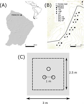 Disentangling Drought and Nutrient Effects on Soil Carbon Dioxide and Methane Fluxes in a Tropical Forest